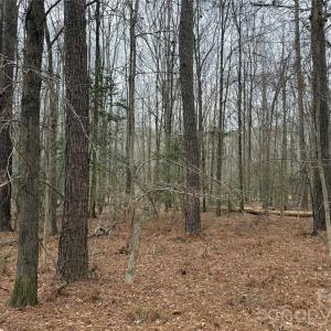 Photo #5 of 6191 Chimney Bluff, Lancaster, SC