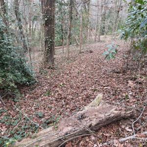 Photo #11 of 208 Beaver, Landis, NC