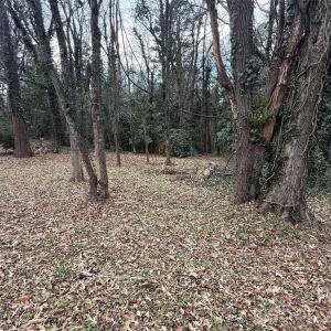 Photo #12 of 208 Beaver, Landis, NC