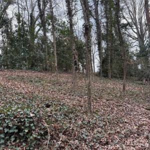 Photo #9 of 208 Beaver, Landis, NC