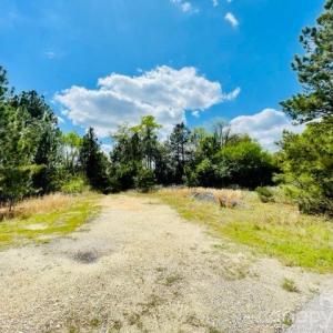 Photo #3 of Hwy 1, Cheraw, SC