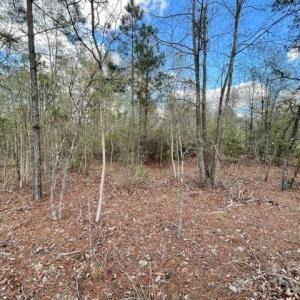 Photo #2 of Hwy 1, Cheraw, SC