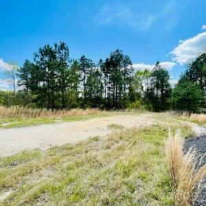 Photo #5 of Hwy 1, Cheraw, SC