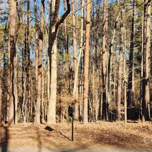 Photo #11 of 11176 Water Trace, Fort Mill, SC