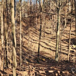 Photo #21 of 11176 Water Trace, Fort Mill, SC