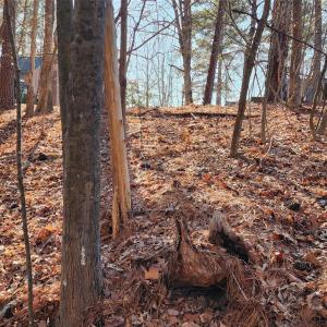 Photo #23 of 11176 Water Trace, Fort Mill, SC