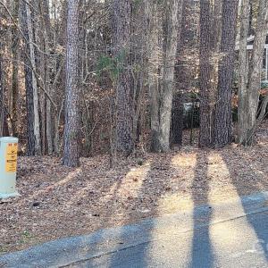 Photo #25 of 11176 Water Trace, Fort Mill, SC