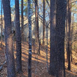 Photo #16 of 11176 Water Trace, Fort Mill, SC