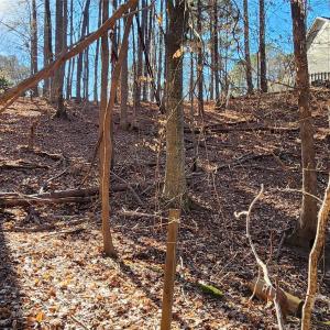 Photo #20 of 11176 Water Trace, Fort Mill, SC