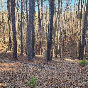 Photo #3 of 11176 Water Trace, Fort Mill, SC