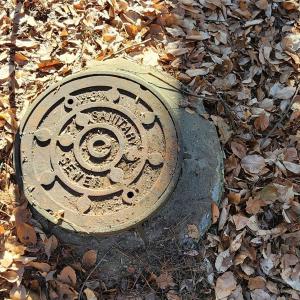 Photo #29 of 11176 Water Trace, Fort Mill, SC