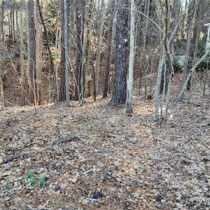 Photo #18 of 11176 Water Trace, Fort Mill, SC