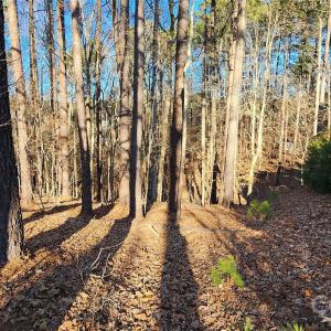 Photo #13 of 11176 Water Trace, Fort Mill, SC