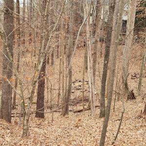 Photo #24 of 11176 Water Trace, Fort Mill, SC