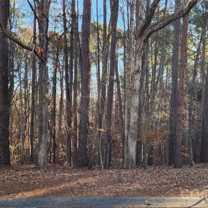 Photo #9 of 11176 Water Trace, Fort Mill, SC