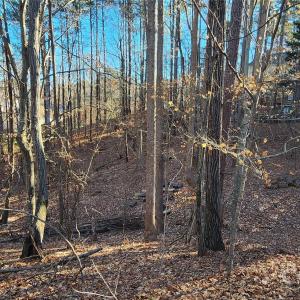 Photo #7 of 11176 Water Trace, Fort Mill, SC