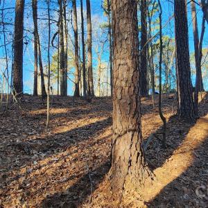 Photo #17 of 11176 Water Trace, Fort Mill, SC