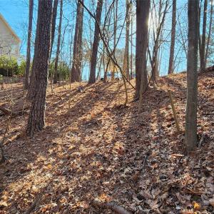 Photo #5 of 11176 Water Trace, Fort Mill, SC