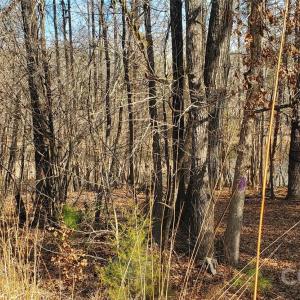 Photo #26 of 420 Tuckertown, New London, NC