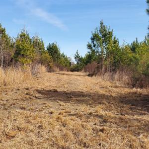 Photo #20 of 420 Tuckertown, New London, NC