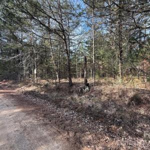 Photo #10 of TBD Old Catholic Church, Richburg, SC