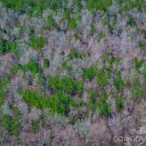 Photo #18 of TBD Old Catholic Church, Richburg, SC