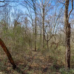Photo #16 of TBD Old Catholic Church, Richburg, SC