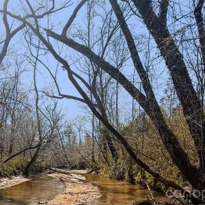 Photo #5 of TBD Old Catholic Church, Richburg, SC