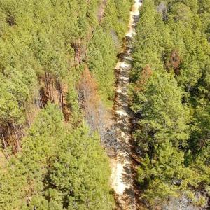 Photo #13 of TBD Old Catholic Church, Richburg, SC