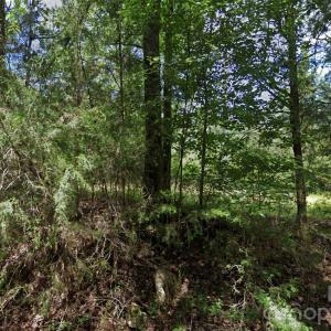 Photo #16 of TBD Old Catholic Church, Richburg, SC