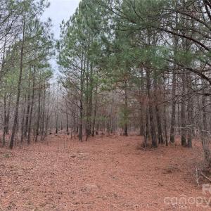 Photo #14 of 106 Legrand, Mount Gilead, NC