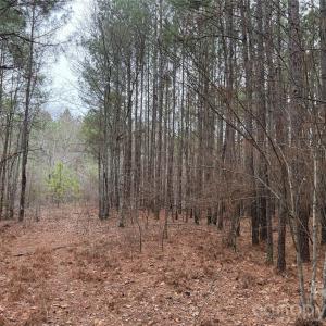 Photo #10 of 106 Legrand, Mount Gilead, NC