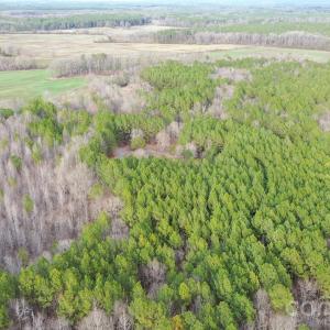 Photo #2 of 106 Legrand, Mount Gilead, NC