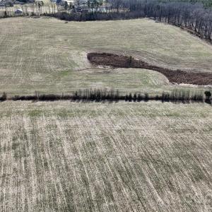 Photo #14 of Crow, Monroe, NC