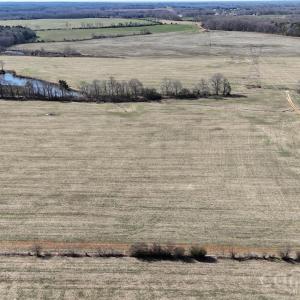 Photo #11 of Crow, Monroe, NC