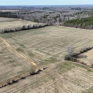 Photo #10 of Crow, Monroe, NC