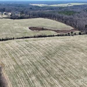 Photo #13 of Crow, Monroe, NC