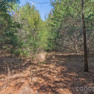 Photo #15 of Cemetery, Fort Lawn, SC