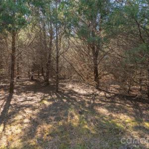 Photo #19 of Cemetery, Fort Lawn, SC