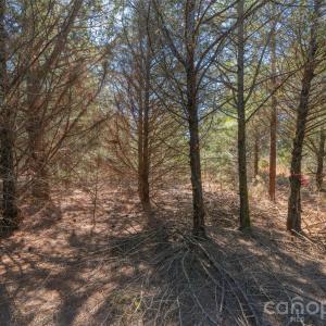 Photo #21 of Cemetery, Fort Lawn, SC