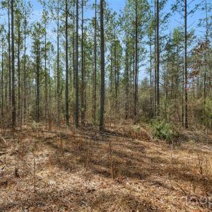 Photo #23 of Peacehaven, McConnells, SC