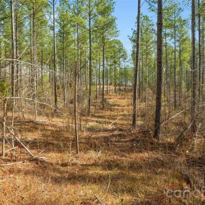 Photo #20 of Peacehaven, McConnells, SC