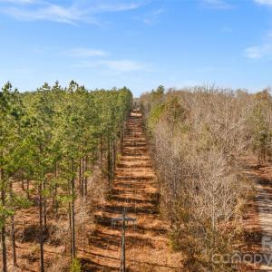 Photo #6 of Peacehaven, McConnells, SC