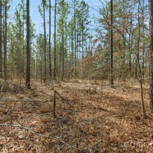 Photo #11 of Peacehaven, McConnells, SC