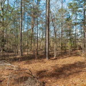 Photo #24 of Peacehaven, McConnells, SC