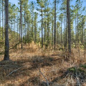 Photo #4 of Peacehaven, McConnells, SC