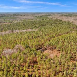 Photo #32 of Peacehaven, McConnells, SC