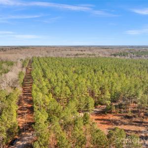 Photo #12 of Peacehaven, McConnells, SC