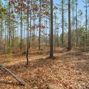 Photo #29 of Peacehaven, McConnells, SC