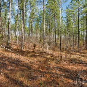 Photo #14 of Peacehaven, McConnells, SC